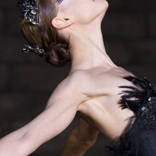 Black Swan phone wallpaper