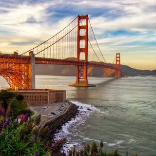 San Francisco phone wallpaper