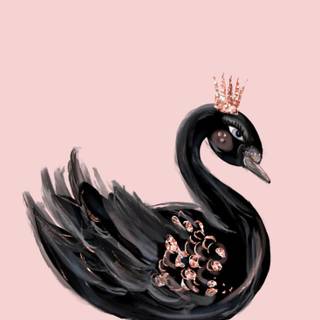 Black Swan phone wallpaper