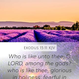 Bible quotes iPhone wallpaper