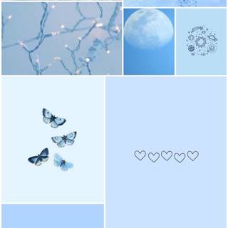 Baby blue iPhone wallpaper