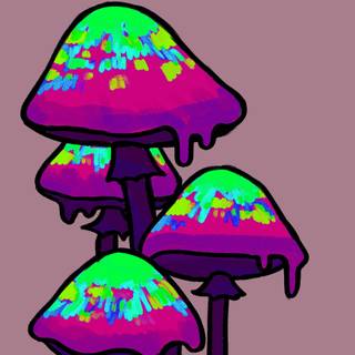 Mushrooms phone wallpaper