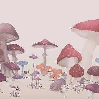Mushroom PC wallpaper