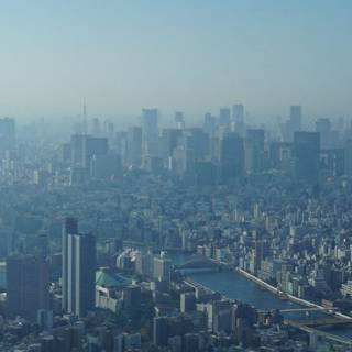 iPhone XS Pro Max wallpaper