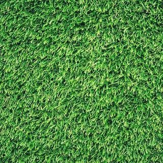 Grass iPhone wallpaper