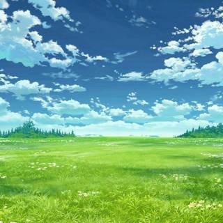 Grass iPhone wallpaper