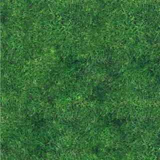 Grass iPhone wallpaper