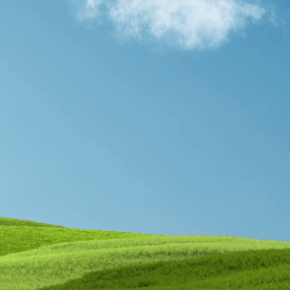 Grass iPhone wallpaper