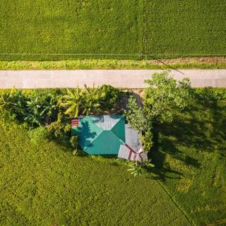 Grass iPhone wallpaper