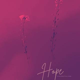 Hope iPhone wallpaper