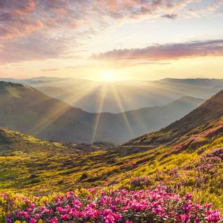 Phone scenary wallpaper