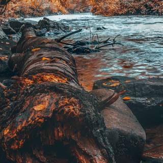 Phone scenary wallpaper