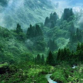 Phone scenary wallpaper