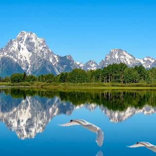 Scenary phone wallpaper