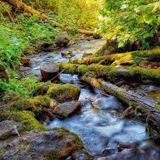 Phone scenary wallpaper