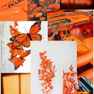 Orange aesthetic phone wallpaper