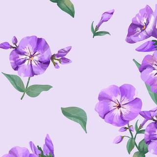 Purple flower iPhone wallpaper