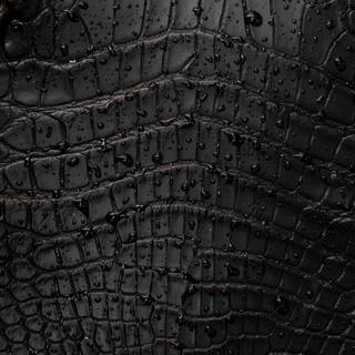 Crocodile iPhone wallpaper