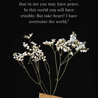 Bible iPhone wallpaper