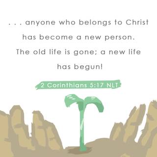 Bible iPhone wallpaper