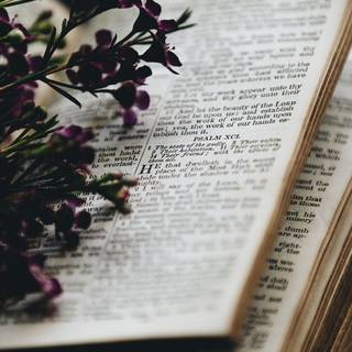 Bible iPhone wallpaper