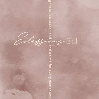 Bible iPhone wallpaper