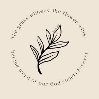 Bible iPhone wallpaper