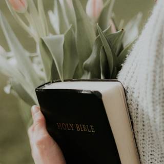 Bible iPhone wallpaper