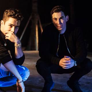 Hardwell 4k wallpaper