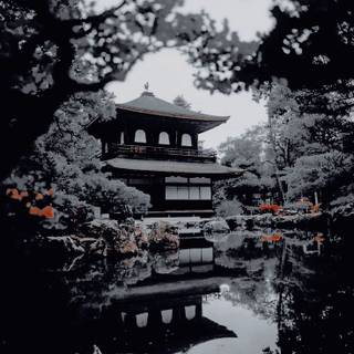 Japanese white aesthetic wallpaper