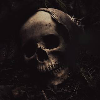 Most scary wallpaper