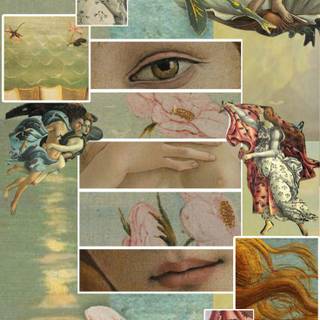 Birth of Venus iPhone wallpaper