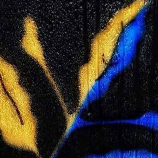 Fenerbahçe 4k iPhone wallpaper