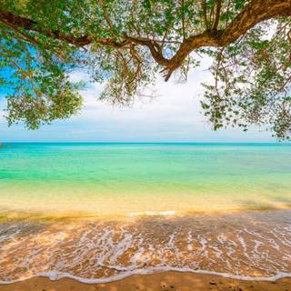 Beach landscapes wallpaper