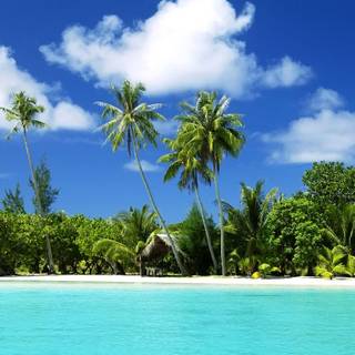 Beach landscapes wallpaper