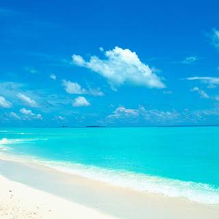 Beach landscapes wallpaper