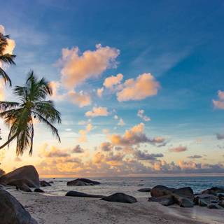 Beach landscapes wallpaper