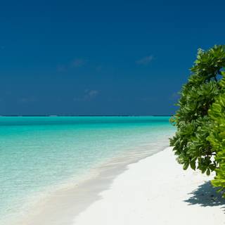 Beach landscapes wallpaper