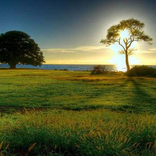 Nature light wallpaper