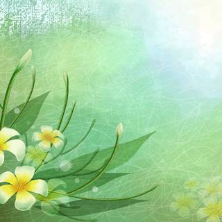 Nature light wallpaper