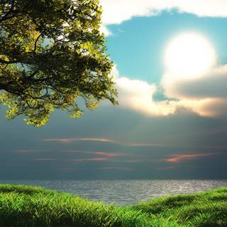 Nature light wallpaper