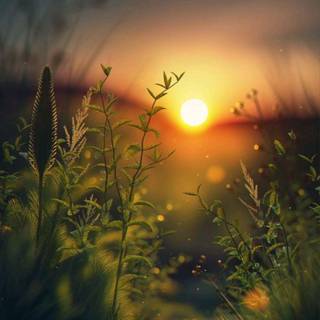 Nature light wallpaper