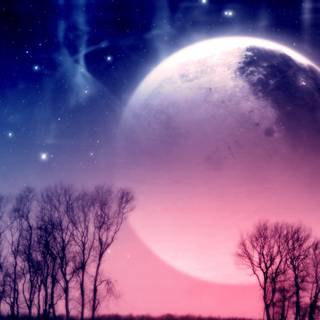 Cute fantasy wallpaper