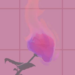 Beige and pink wallpaper