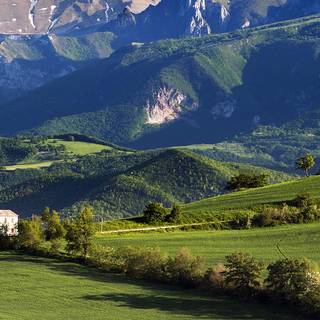 Alps summer HD wallpaper