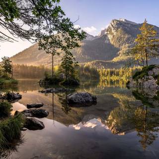 Lake summer trees wallpaper