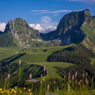 Alps summer HD wallpaper