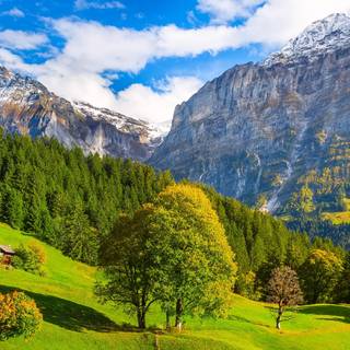 Alps summer HD wallpaper