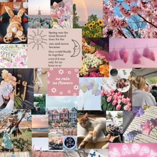 Spring time preppy wallpaper