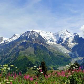 Alps summer HD wallpaper